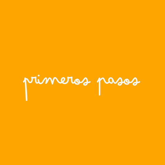Primeros Pasos
